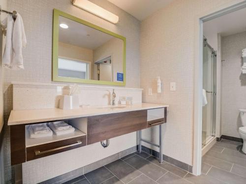 威廉斯敦Hampton Inn & Suites Williamstown Ark Encounter, Ky的一间带水槽和镜子的浴室
