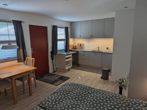 阿尔贝特斯隆Compact Apartment Hvidager的一间设有厨房和用餐室的客房