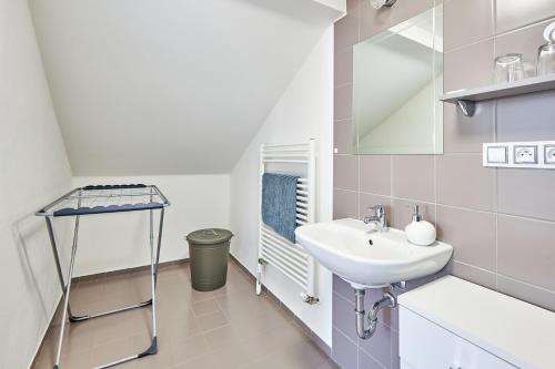 捷克克鲁姆洛夫维拉盖普公寓的白色的浴室设有水槽和镜子