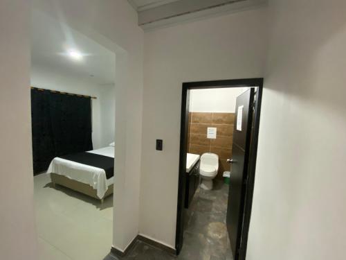 阿卡西亚斯Hotel Arrendajo的一间带一张床的卧室和一间带镜子的浴室