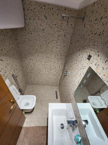 地拉那Pietro Guesthouse 3的一间带水槽和卫生间的浴室