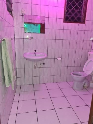 蒙巴萨ADIA APARTMENTS的一间带粉色水槽和卫生间的浴室