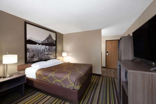 贝尔格莱德贝尔格莱德/博兹曼机场速8酒店的配有一张床和一台平面电视的酒店客房