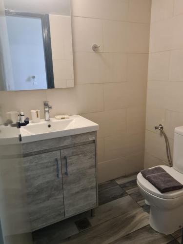 伊兹拉Greco Hotel的一间带水槽、卫生间和镜子的浴室