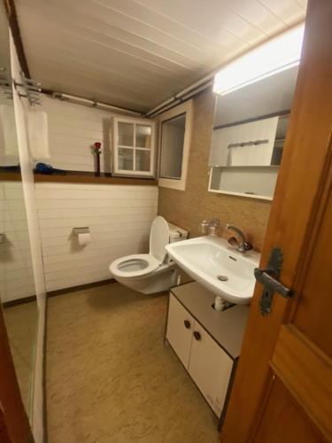 施维茨Sonderbar Home的一间带卫生间和水槽的小浴室