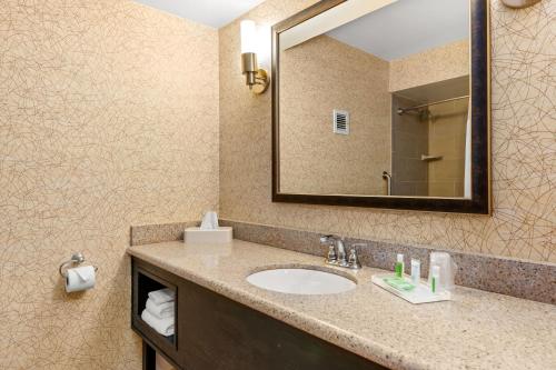 约翰逊城约翰逊城假日酒店的一间带水槽和镜子的浴室