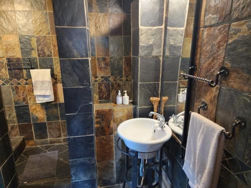 约翰内斯堡六瓦克大道旅馆的一间带水槽和瓷砖墙壁的浴室