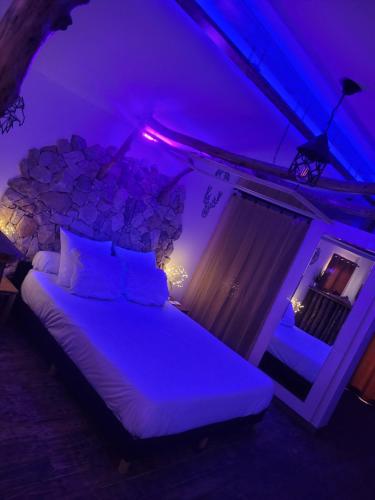 LOVE Room Danslesbois avec spa