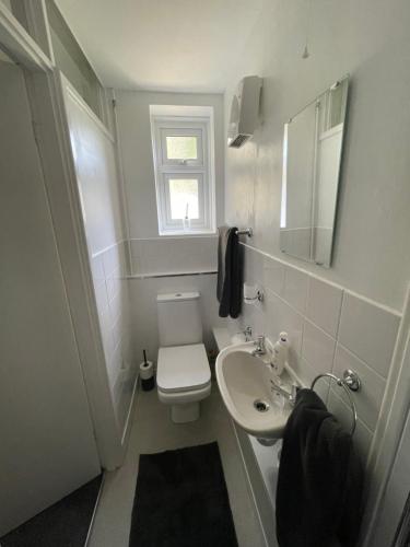伊斯特布恩Garden flat in 'Little Chelsea'的白色的浴室设有卫生间和水槽。