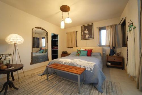 Kfar YonaLaethos - the house of fun.的一间卧室配有一张床、镜子和一张桌子