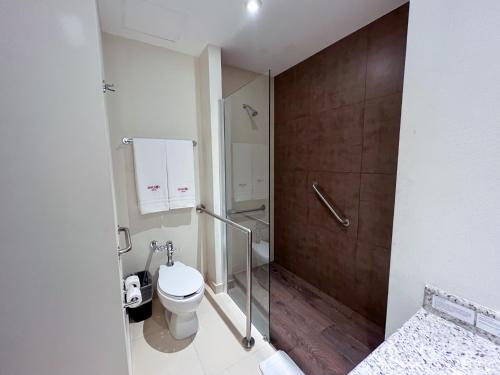 图斯特拉古铁雷斯迪威佐酒店和别墅的一间带卫生间和淋浴间的浴室