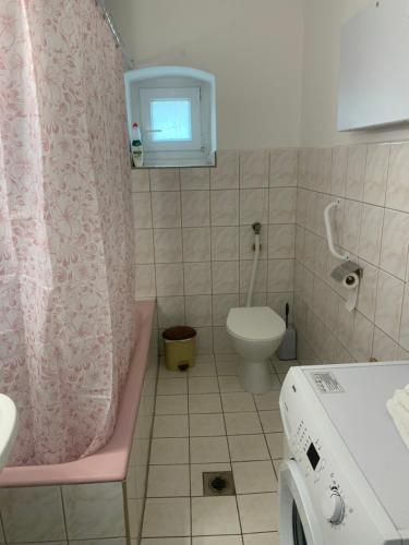 FehérvárcsurgóMargaréta Vendégház的一间带粉红色淋浴帘和卫生间的浴室