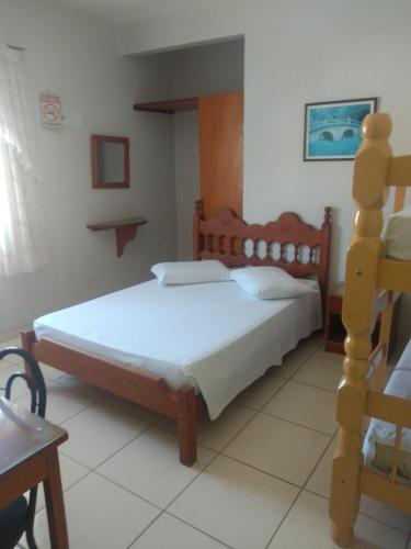 圣洛伦索Pousada Samambaia SL的一间卧室设有一张床和梯子