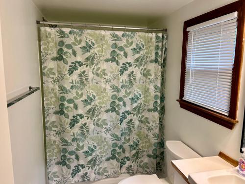 梅德福Traveler’s Den in Medford的一个带水槽的浴室内的淋浴帘