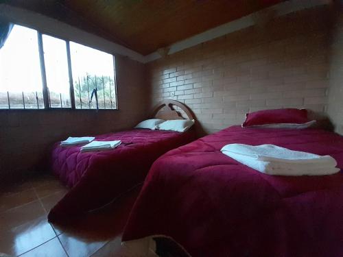 派帕Villa pinzon的配有紫色床单和窗户的客房内的两张床
