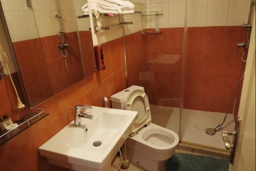 贝贾亚HOTEL DU NORD的浴室配有卫生间、盥洗盆和淋浴。