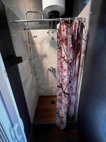 里耶卡Hostel Old School的浴室内配有淋浴帘。