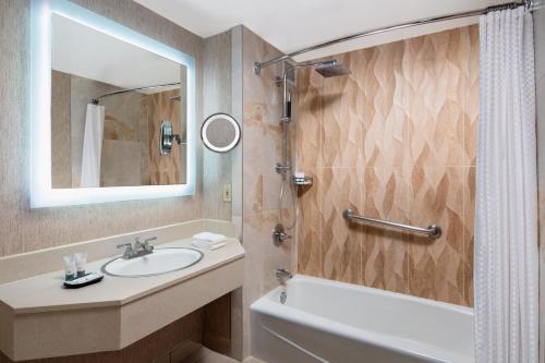南菲尔德底特律绍斯菲尔德威斯汀酒店的一间带水槽、浴缸和镜子的浴室