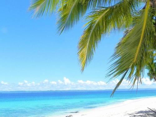 Lapu Lapu CityPRIVATE COLLECTION 贅沢 Jade's Beach Villa 별장 Cebu-Olango An exclusive private beach secret的棕榈树挂在海滩上,与大海