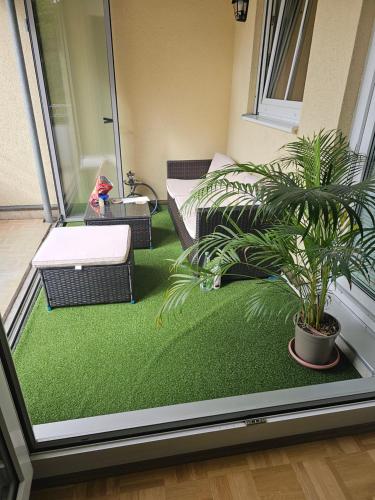 慕尼黑Privat Zimmer in 2 Zimmer Wohnung的绿地阳台,种植植物