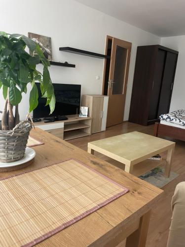 马汀Studio Apartman的客厅配有桌子和盆栽植物