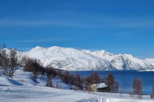 灵塞德Hele utleiebolig Årøybuktneset的雪 ⁇ 的山脉,有湖泊和房子