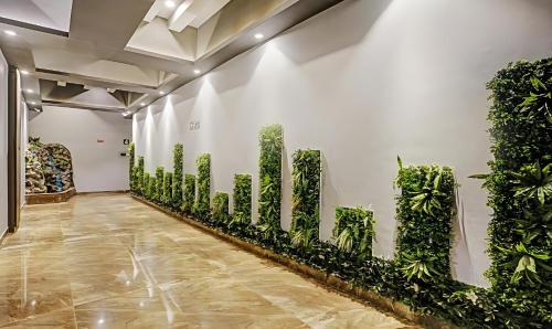 孟买ZARA GRAND HOTEL的一排植物在房间的墙上