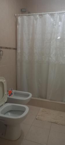 乌斯怀亚Lo de Elena的一间带卫生间和淋浴帘的浴室