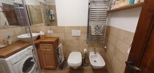 摩德纳迪-坎皮格里奥Appartamento a Campo Carlo Magno的浴室配有卫生间、盥洗盆和洗衣机。