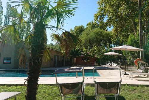 阿维尼翁Lodges & Nature - 71的游泳池旁的棕榈树
