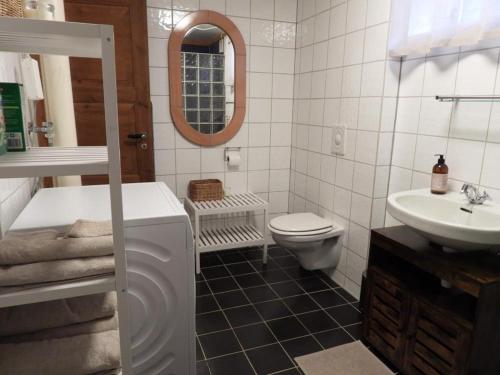 海姆瑟达尔Tommen’s Crib的浴室配有盥洗池、卫生间和镜子。