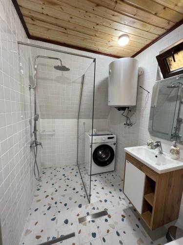 安布罗劳里Agaruka Cabin Racha的带淋浴和洗衣机的浴室