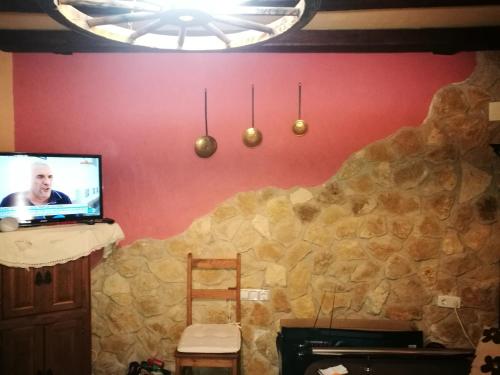 IznatorafCasa Rural Los Girasoles的客厅设有石墙和平面电视。