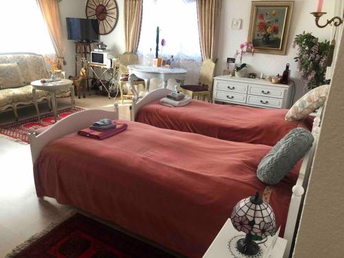 BrüggDouble room in nice house near the forest (basement floor)的一间带两张床的卧室和一间客厅