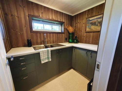 诺托登Bolkesjø Gaard的厨房配有绿色橱柜、水槽和窗户