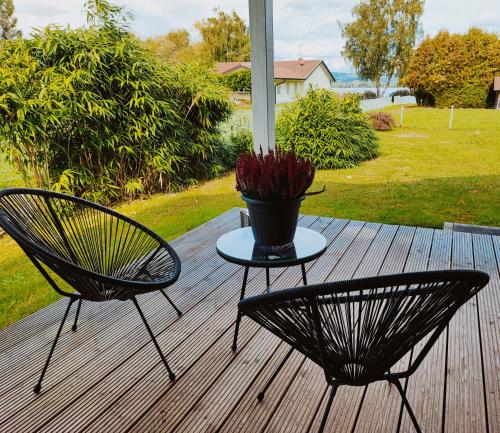 盖恩霍芬Wunderschönes Haus am See - Seeblick, großer Garten, Südbalkon, Carport & Smart-TV的甲板上摆放着两把椅子和一张桌子,上面种着盆栽植物