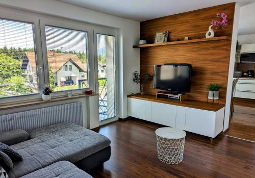 克拉尼Domen's cozy rentals的带沙发和电视的客厅