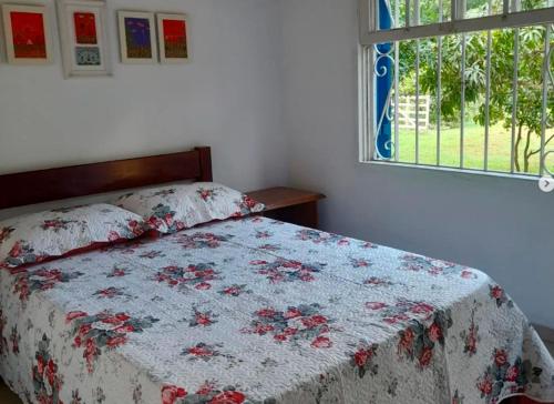 帕萨夸特鲁O Casarão的一间卧室配有一张带花卉床罩的床和窗户。