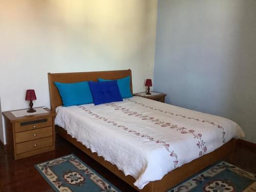 戈韦阿Casa das Camélias的一间卧室配有一张带蓝色枕头的大床