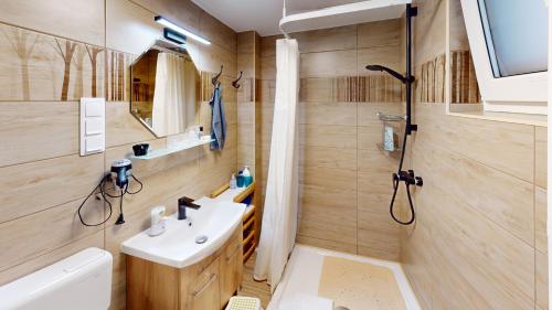 迈泽克韦什德Silver Zsóry Apartman的一间带水槽和淋浴的小浴室