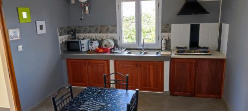 图阿马西纳appartement Villa Nancy的厨房配有木制橱柜、水槽和桌子