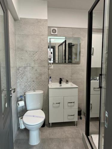 苏恰瓦Luxury Apartments and Studios Boulevard G Enescu Suceava的一间带卫生间、水槽和镜子的浴室