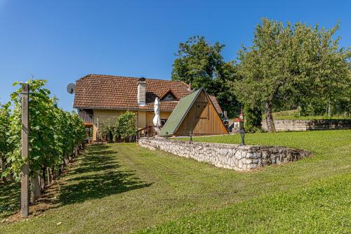 新梅斯托Vineyard Cottage Hočevar With Sauna - Happy Rentals的院子前有石墙的房子