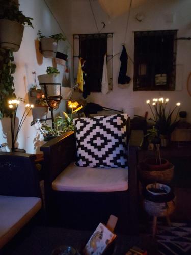 马德里Casa de Ciss的一间配有沙发的房间,一些植物和灯
