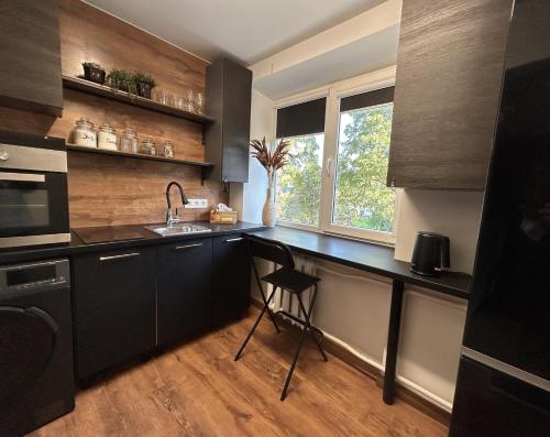 叶卡布皮尔斯OzolApart的厨房配有黑色橱柜、水槽和窗户。