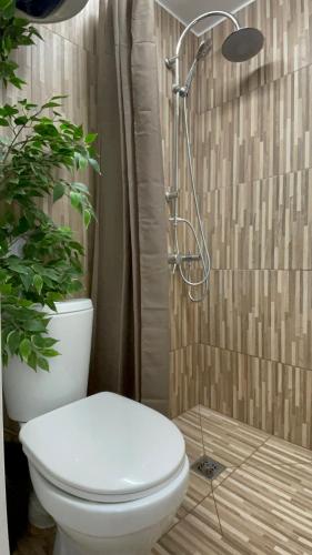 叶卡布皮尔斯OzolApart的一间带卫生间和淋浴植物的浴室