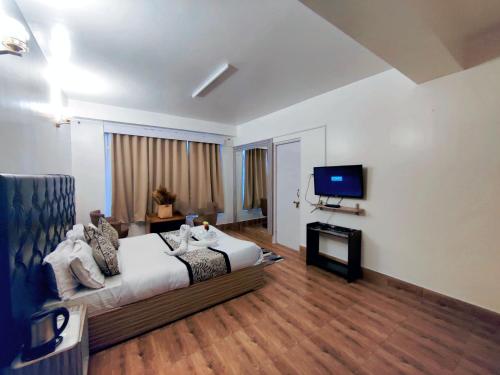 甘托克Namdul Boutique的一间酒店客房,配有一张床和一台电视