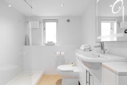 米尔顿达梅雷尔钻石度假村伍德福德桥乡村民宿的白色的浴室设有卫生间和水槽。