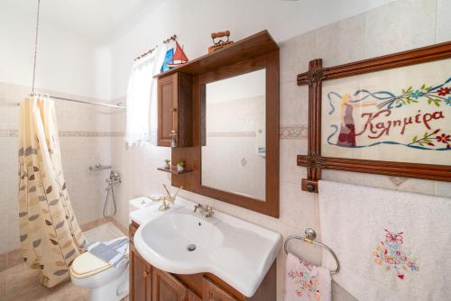 拉卡尼亚Irene's house的一间带水槽、卫生间和镜子的浴室