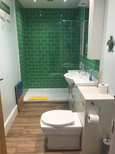切达The Riverside Apartment on Cheddar Bridge Apartments的浴室设有卫生间和绿色瓷砖淋浴。